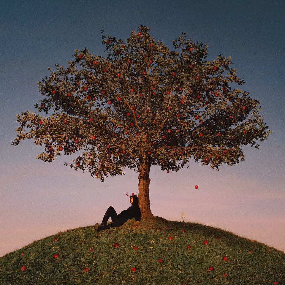 slowthai - TYRON - Vinyl