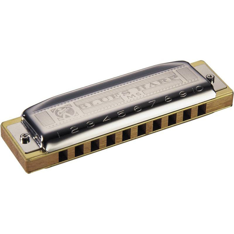 Hohner Blues Harp G - Harmonica with Plastic Hardcase