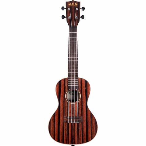 KALA KA-EBY-C Ebony Concert Ukulele