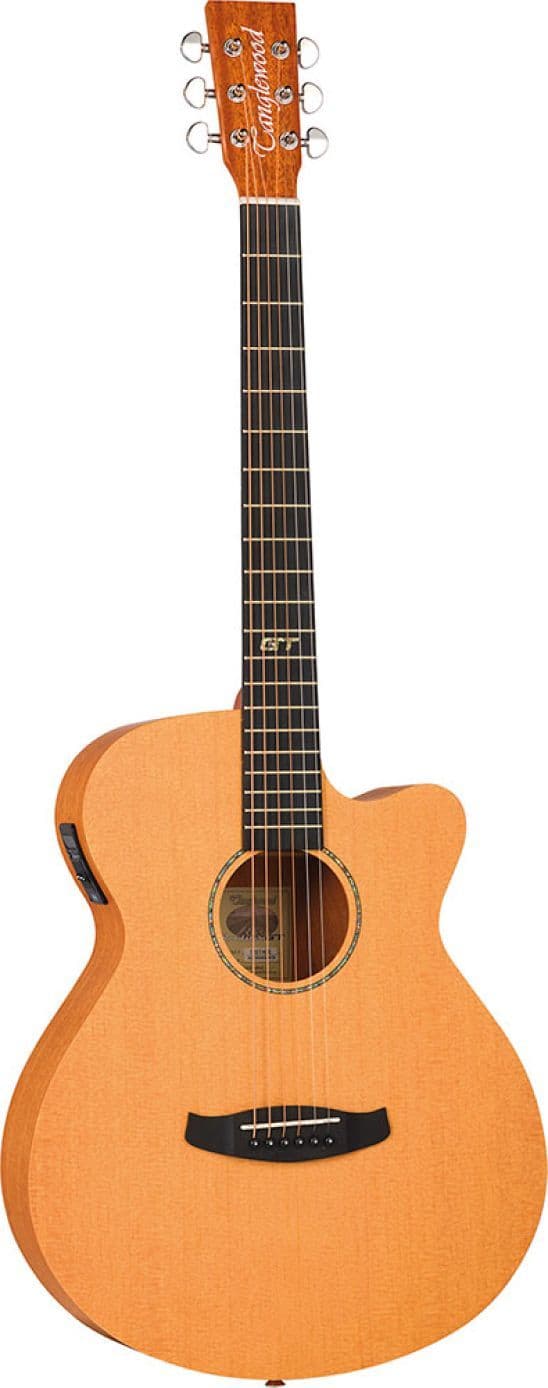 Tanglewood TRGT 4CE *INCLUDING HARD CASE* *MEGA DEAL*